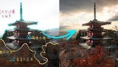 大象肚子爆炸视频-震撼人心的大象肚子爆炸视频，自然界的悲剧与人类反思