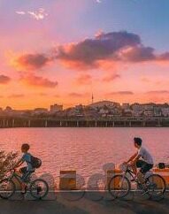 久久精品人人槡人妻人人玩-探索成人内容对个人与社会的影响，一个深思的视角