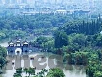 麻豆成av不卡一二三区-当视线转投远方——一个人如何在网络世界中寻找真实与真实自我