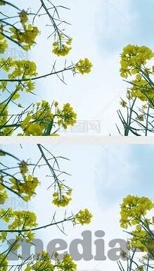 麻豆传媒免费播放-麻豆传媒，作为开放平台的一环