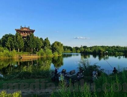 麻豆视频3.2.2-揭秘麻豆视频3.2.2，网络内容消费的新面纱