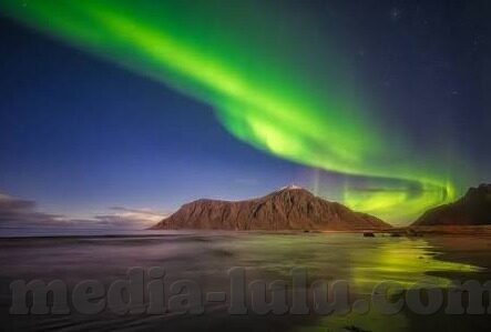 日本最新免费一区二区-日本最新免费一区二区，网络世界的迷思与现实