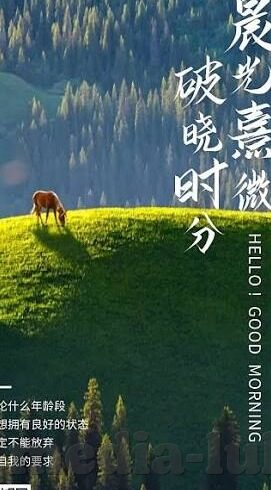 糖心vlog兑换码怎么用-如何成功兑换糖心Vlog的独特体验
